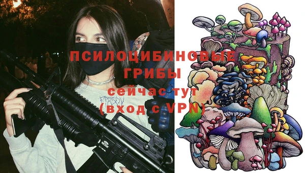 герыч Переславль-Залесский