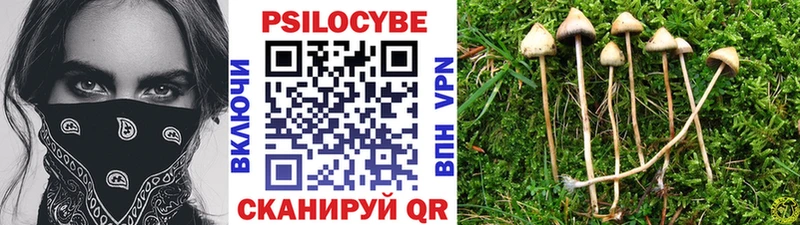Псилоцибиновые грибы Cubensis  KRAKEN как войти  Шатура 