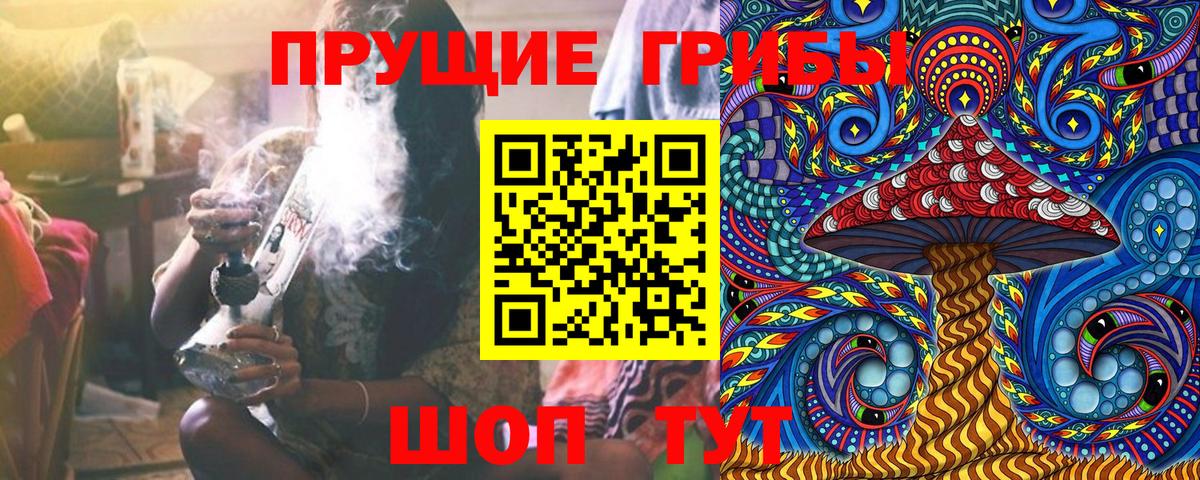 где продают   Вход с VPN  Шатура  Галлюциногенные грибы ЛСД 