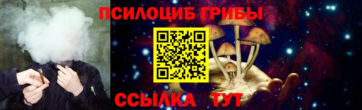 Галлюциногенные грибы мухоморы Шатура