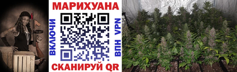 Бошки марихуана THC 21%  Шатура 