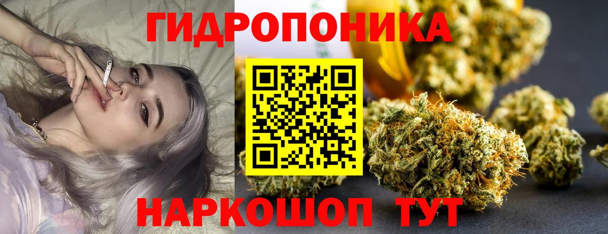 Конопля Шатура